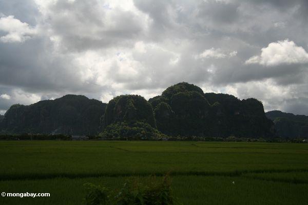 Sulawesi Kalksteinberge außerhalb Makassar