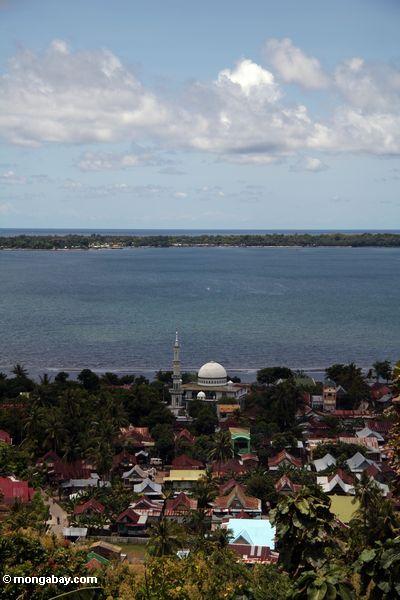 Moschee in der Küste schneiden schneiden in Sulawesi
