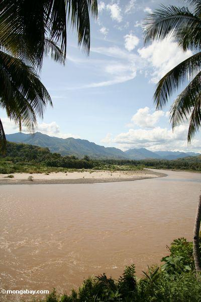 Schlammiger Fluß in Sulawesi