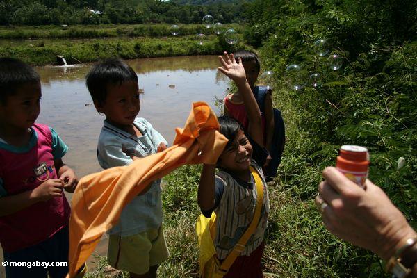 Die Toraja Kinder, die mit Luftblasen Toraja
