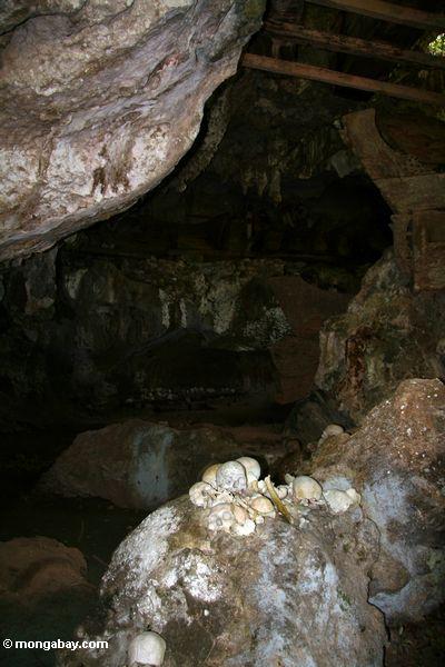 Schädel in der Höhle bei Londa Nanggala