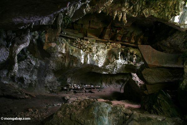 Mensch bleibt an der Höhle Londa Nanggala