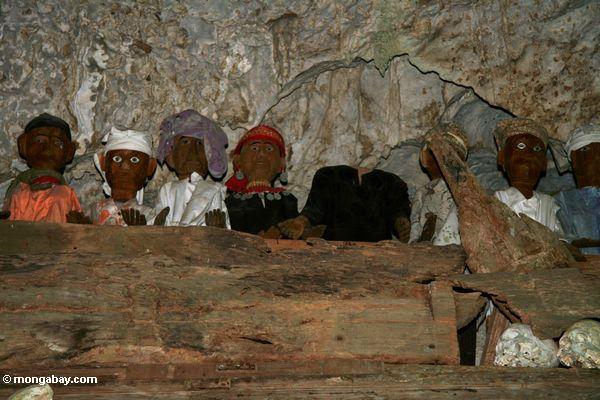 Särge und hölzerne Begräbnis- Bildnisse in der Höhle bei Londa Nanggala