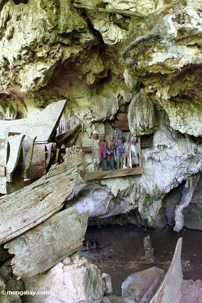 Londa Nanggala Höhle mit hängenden Särgen und Begräbnis- Bildnisse