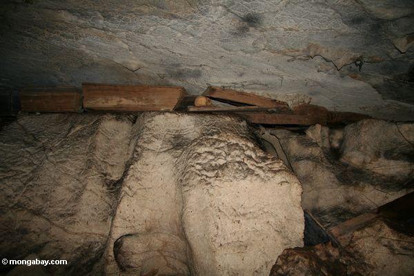 Särge in der Höhle bei Londa Nanggala