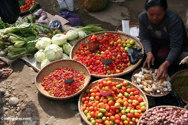 Die Frau, die chilis verkaufen, die tomatos und die tomatos am Markt in Rantepao
