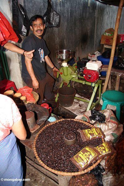 Kaffee, der am zentralen Markt Rantepao Toraja
