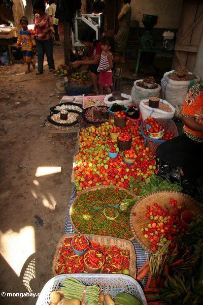 Gemüse- und Fruchtmarkt in Rantepao