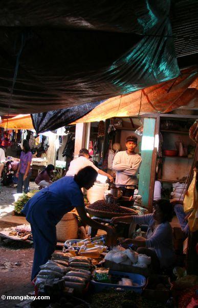 Markt Rantepao Toraja