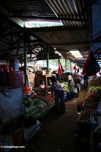 Melonen am Gemüsemarkt in Rantepao