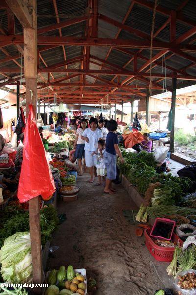 Handel am Gemüsemarkt Rantepao