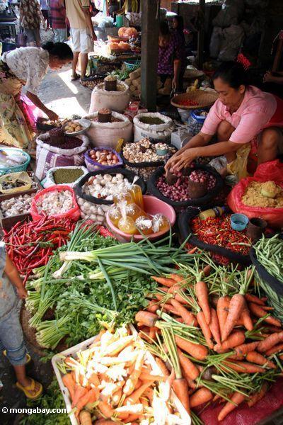 Am Gemüsemarkt Rantepao Toraja im Land (
