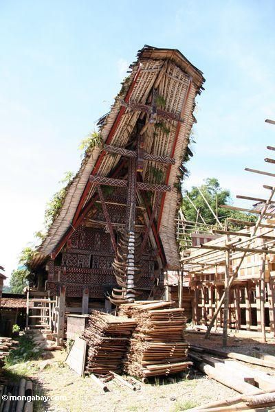 Aufbau eines traditionellen Hauses Palawa