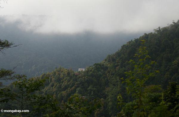 Lokalisiertes Gebirgshaus in den Wäldern von Sulawesi