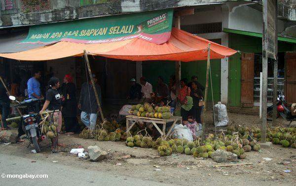 Durianfrucht für Verkauf in Sengkang
