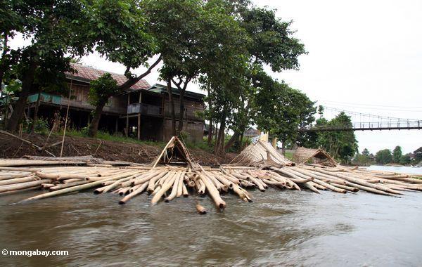 Bambus für Boot Aufbau auf dem Fluß, der See Tempe Sulawesi