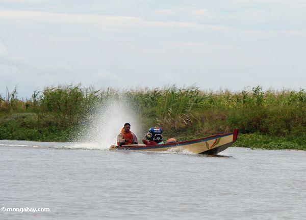 Das Fahren von speedboat auf See Tempe Sulawesi