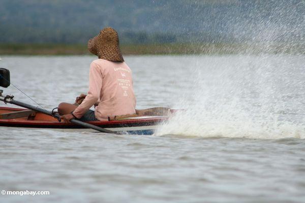 Das Fahren des traditionellen motorisierten Kanus auf See Tempe Sulawesi