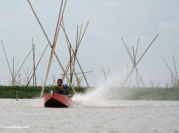 Der Mann, der traditionelles Buginese fährt, motorisierte Kanu auf See Tempe