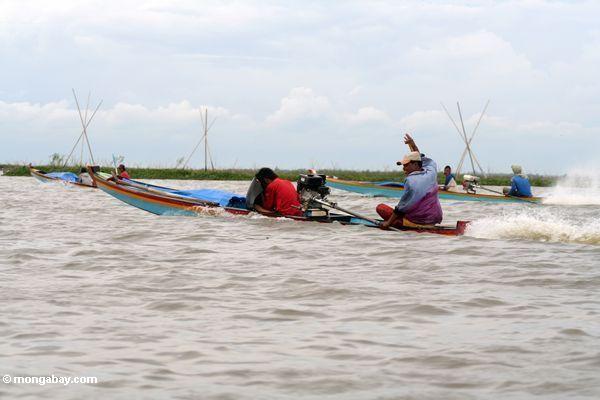 Die Männer, die traditionelles Buginese fahren, motorisierten Kanus auf See Tempe