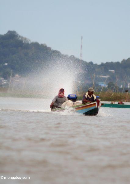 Näherndes Buginese motorisierte Kanu auf See Tempe