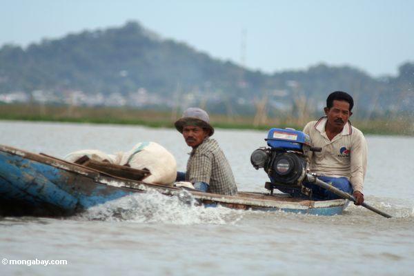 Männer in traditionellem Buginese motorisierten Kanu auf See Tempe