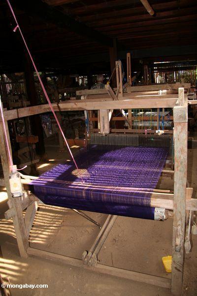 Purpurrote Seide in einem Webstuhl in Sengkang