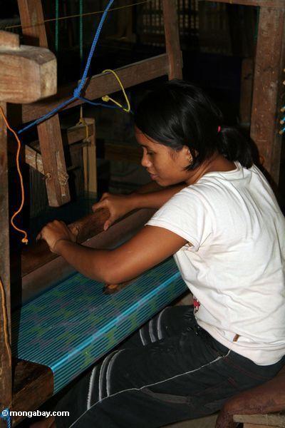 Frau, die spinnt ein silk Stück Sulawesi
