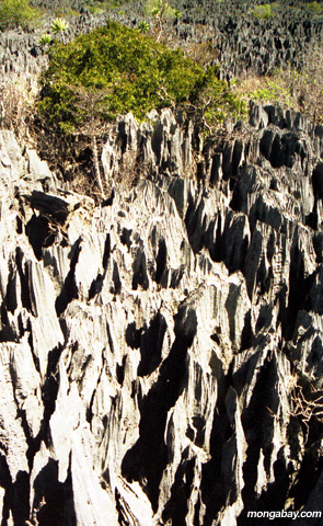 Tsingy, Madagascar