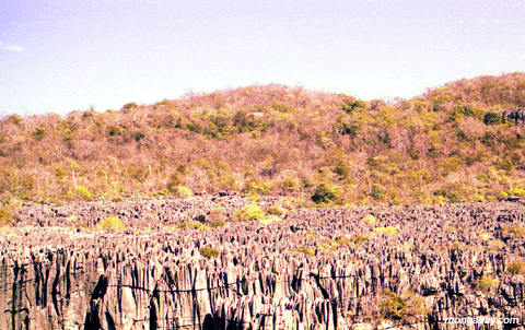 Paysage De Tsingy, Madagascar