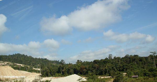 熱帯林での採掘作業