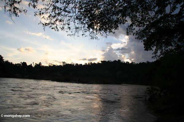 Sonnenuntergang über dem malaysischen Dschungel und dem Tembeling Fluß