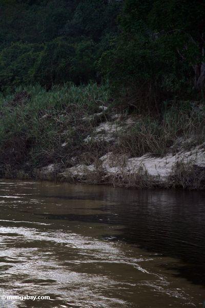 Öffnung des blackwater Tahan Flusses, wie er den whitewater Tembeling Fluß Taman