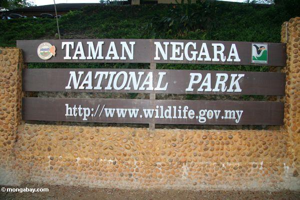 Für Taman Negara Nationalpark Taman