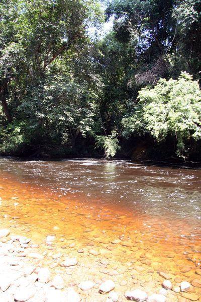 Blackwater, resultierend aus Gerbsäuren in der Vegetation, Tahan Fluß