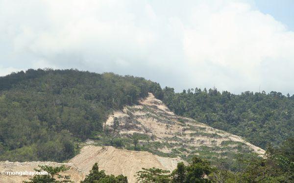 熱帯雨林の鉱山