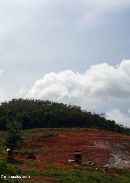 Bergbau im malaysischen Regenwald
