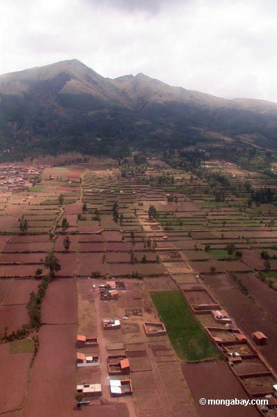 Das Bewirtschaften plottet außerhalb Cuzco, Peru