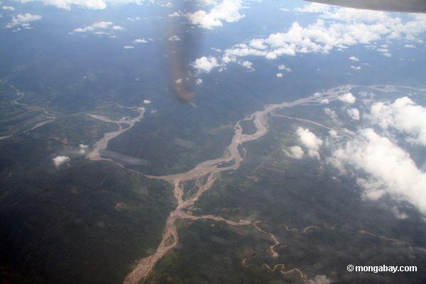 ペルーのアマゾン地方の熱帯雨林の農業のための森林破壊