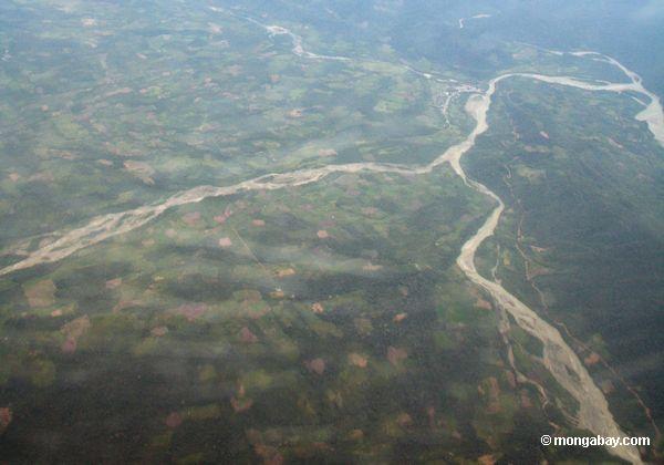 ペルーのアマゾン地方の熱帯雨林の農業のための森林破壊