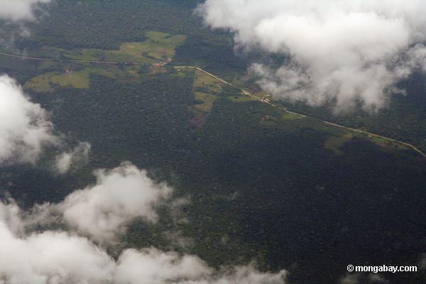 道路沿いには、アマゾンの森林破壊の航空写真