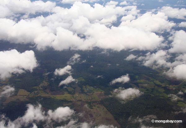 道路沿いには、アマゾンの森林破壊の航空写真