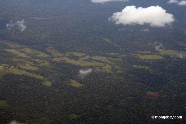 アマゾンの森林破壊の航空写真