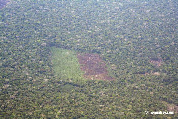 アマゾンの森林破壊の上からの眺め