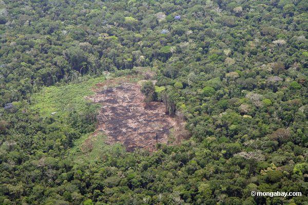Flache Ansicht der Abholzung im Amazonas