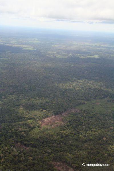 Foto aérea do deforestation no Amazon