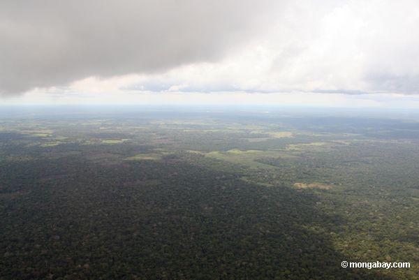 アマゾンの森林破壊の空中写真