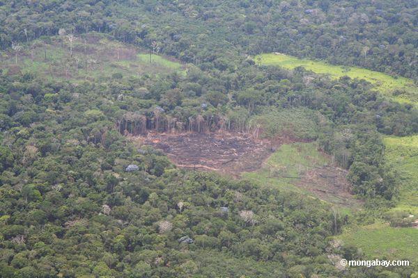 Vista aérea de o mais rainforest cancelado para a agricultura