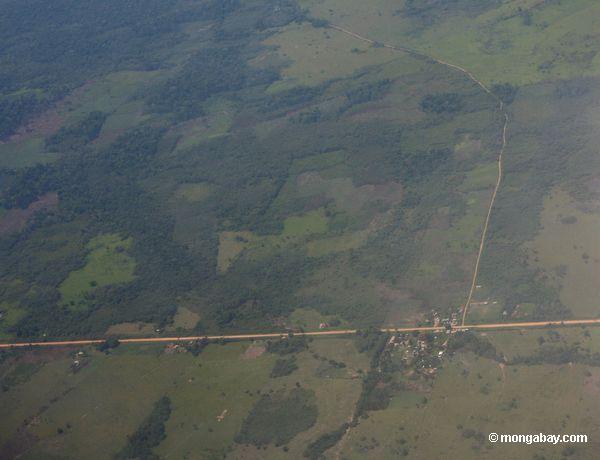 Umgebende Straße der Abholzung im peruanischen Amazonas