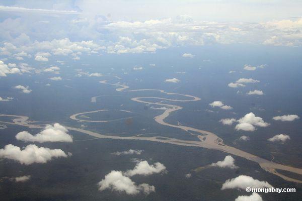 Schlängelnder rainforest Fluß mit zwei oxbow Seen
